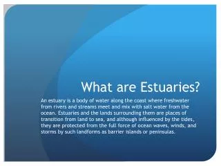What are Estuaries?
