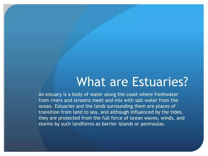 what are estuaries