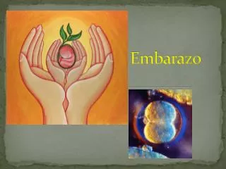 embarazo