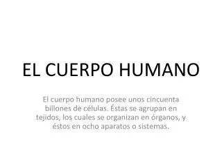 el cuerpo humano