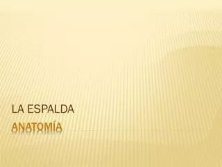 la espalda