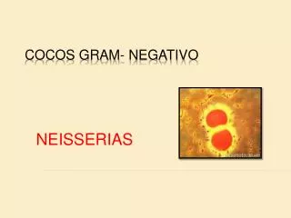 neisserias