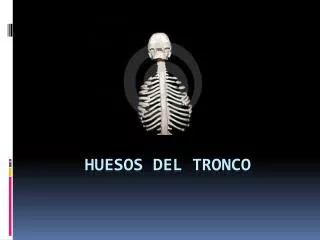 huesos del tronco