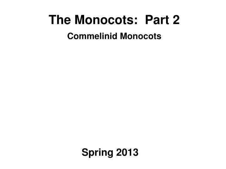 the monocots part 2 commelinid monocots