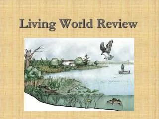 Living World Review