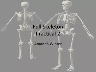 Full Skeleton Practical 2