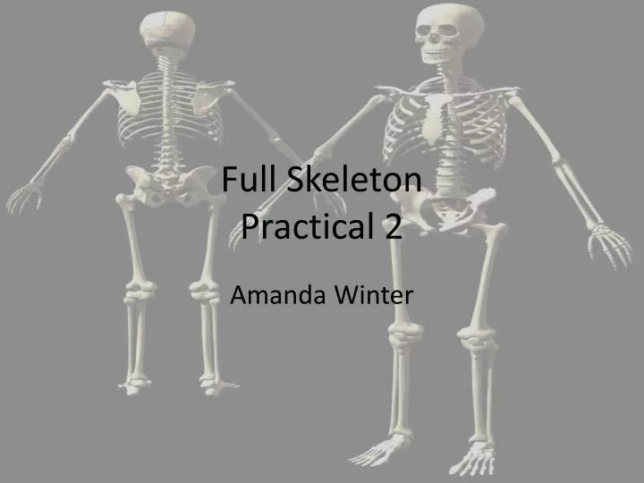 full skeleton practical 2