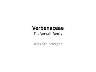 Verbenaceae The Vervain Family
