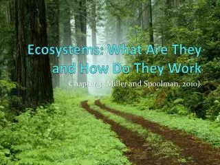 Ecosystems: What Are They and How Do They Work