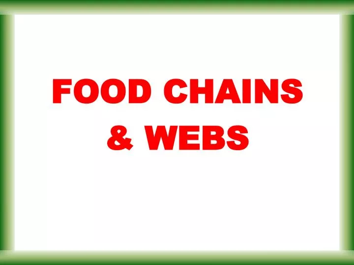 food chains webs