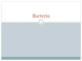 bacteria
