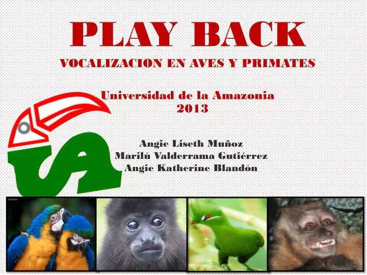 play back vocalizacion en aves y primates universidad de la amazonia