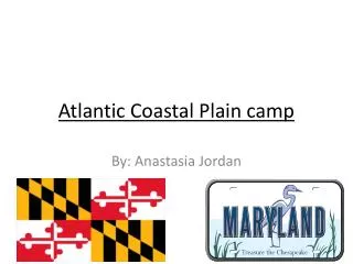 Atlantic Coastal P lain camp