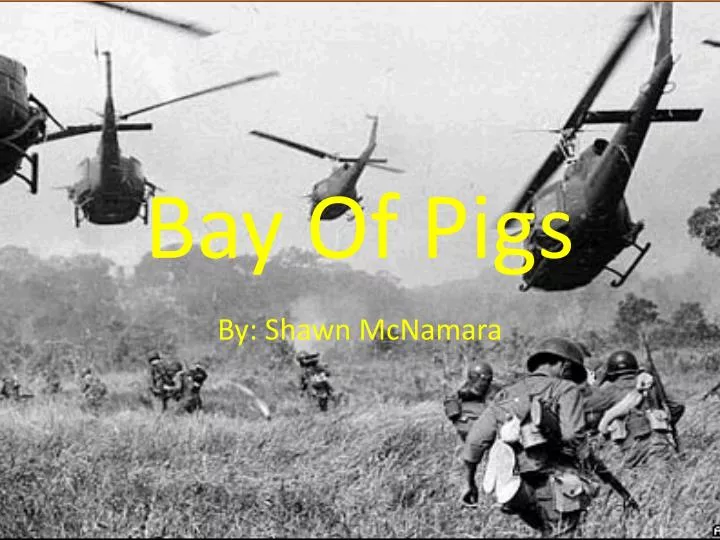 bay of pigs