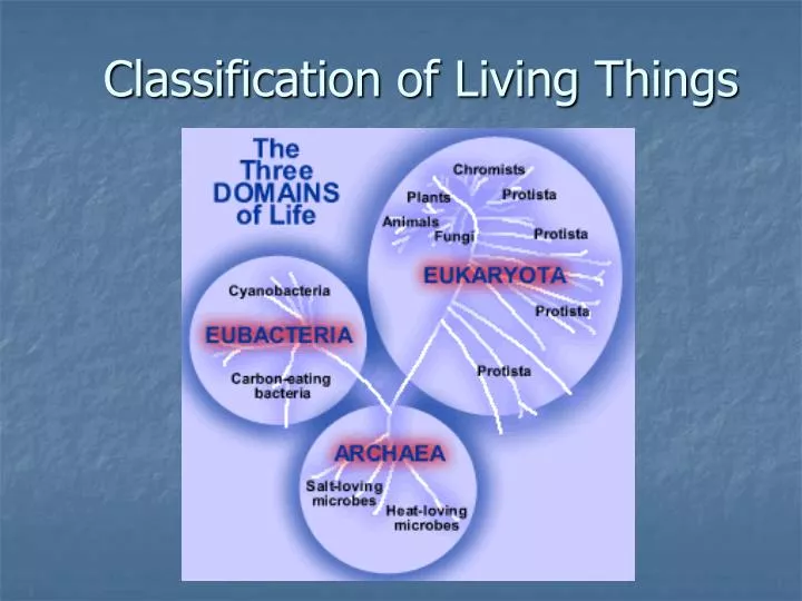 classification of living things