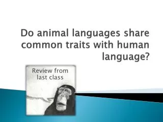 Do animal languages share common traits with human language?