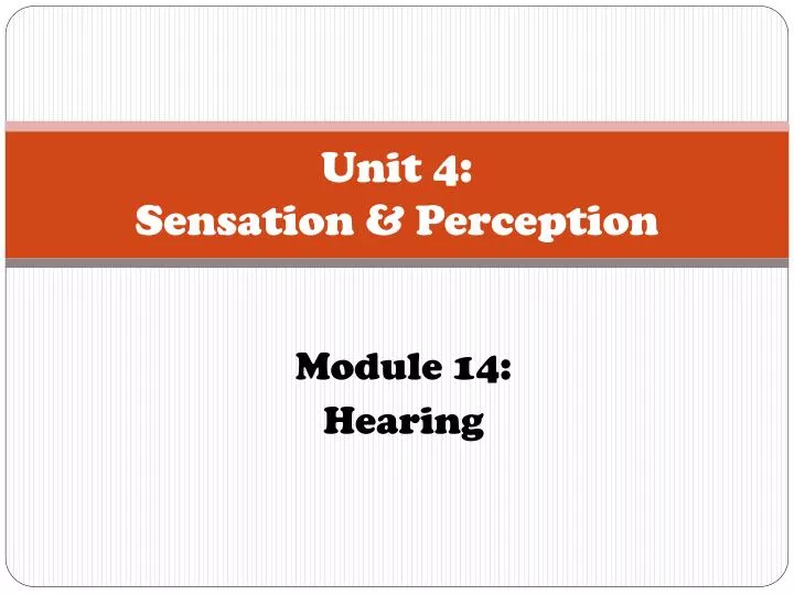 unit 4 sensation perception