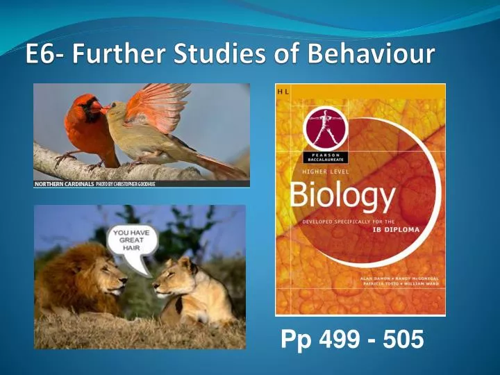 e6 further studies of behaviour
