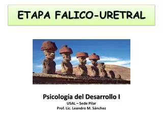 etapa falico uretral