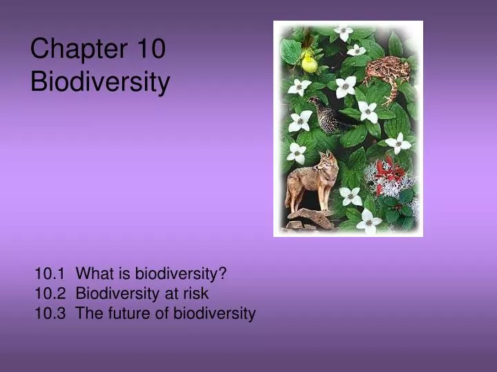 chapter 10 biodiversity