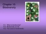 Chapter 10 Biodiversity - slide 1