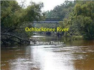 Ochlockonee River