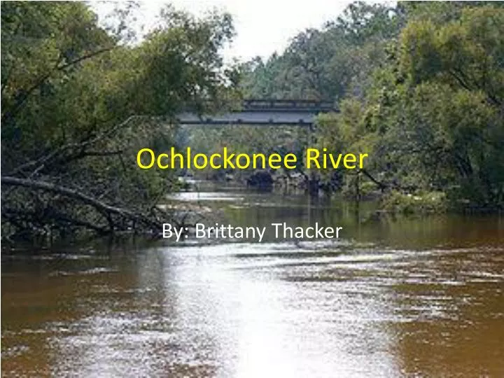 ochlockonee river