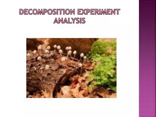 Decomposition Experiment Analysis