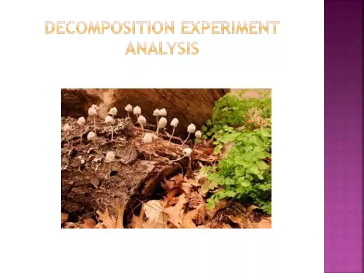 decomposition experiment analysis