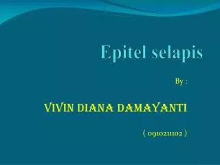 Epitel selapis