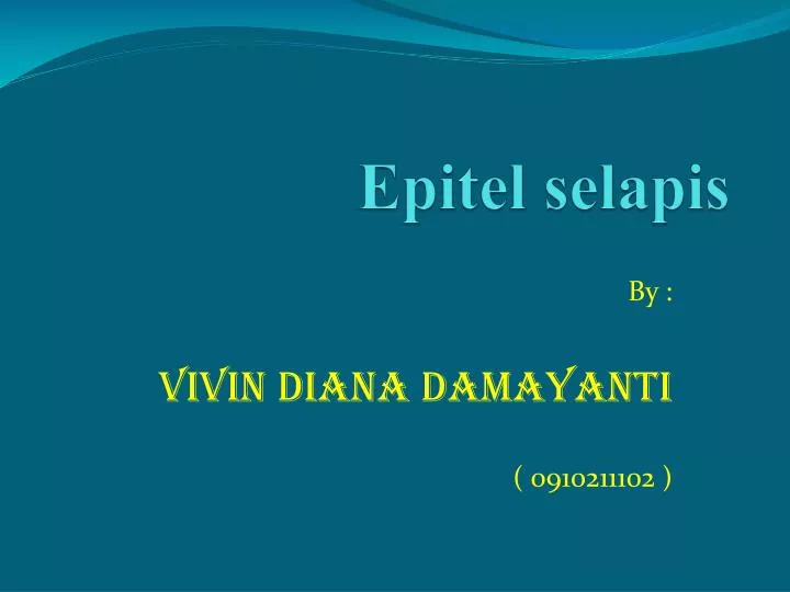 epitel selapis