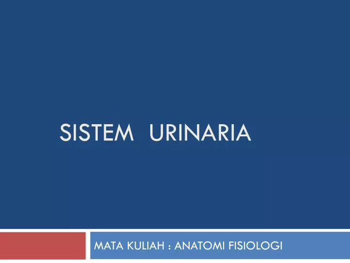 sistem urinaria