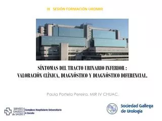 s ntomas del tracto urinario inferior valoraci n cl nica diagn stico y diagn stico diferencial
