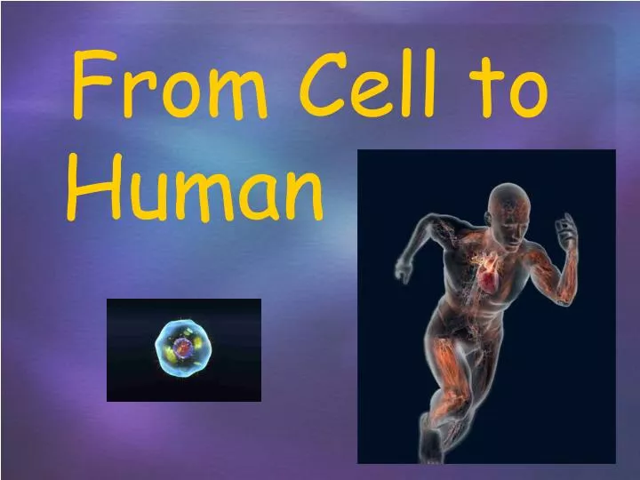 from cell to human