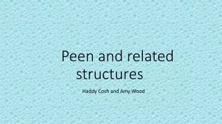 Peen and related structures