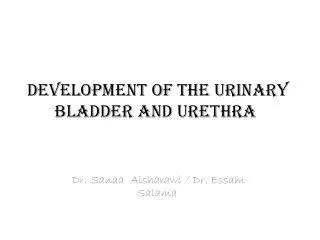 Development of the urinary bladder and urethra