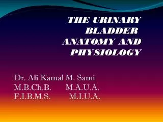 THE URINARY BLADDER ANATOMY AND PHYSIOLOGY