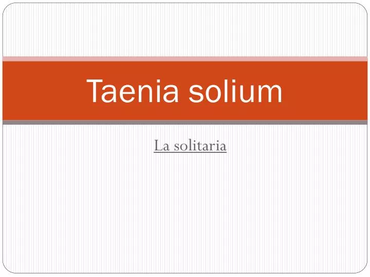 taenia solium