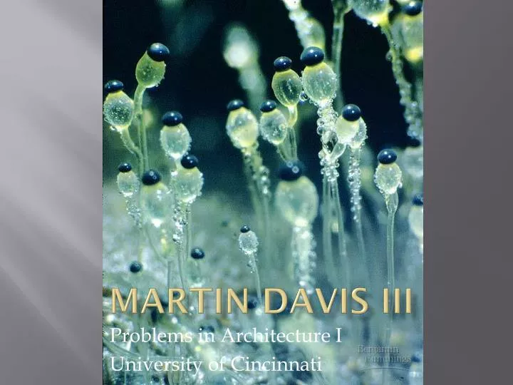 martin davis iii