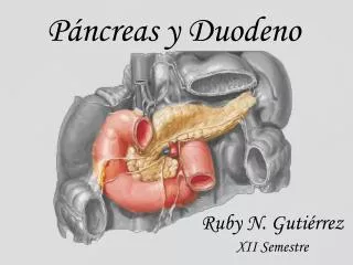 p ncreas y duodeno