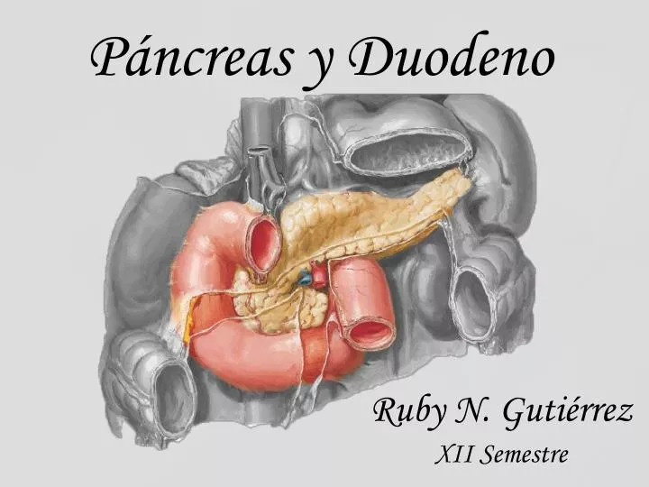 p ncreas y duodeno