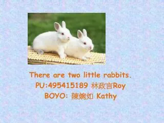 There are two little rabbits. PU:495415189 ??? Roy BOYO: ??? Kathy