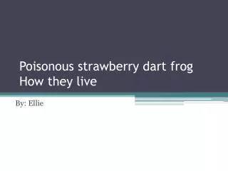 Poisonous strawberry dart frog How they live