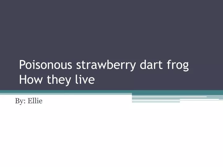 poisonous strawberry dart frog how they live