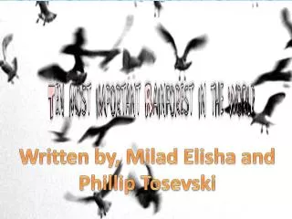 Written by, Milad Elisha and Phillip Tosevski