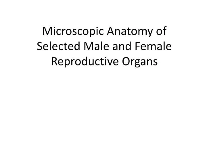 microscopic anatomy of selected male and female reproductive organs