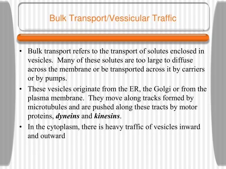 bulk transport vessicular traffic