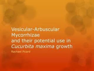 Vesicular-Arbuscular Mycorrhizae and their potential use in Cucurbita maxima growth