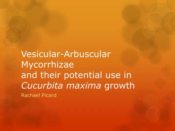 vesicular arbuscular mycorrhizae and their potential use in cucurbita maxima growth