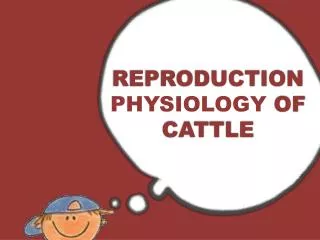 REPRODUCTION PHYSIOLOGY OF CATTLE
